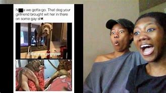Image result for You Didn't Hear Me Barking Meme