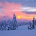 Image result for Free Winter Wallpaper Themes