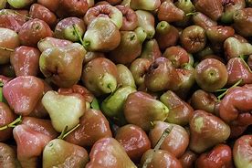 Image result for Exotic Apple's