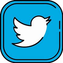 Image result for Twitter Creative Icon