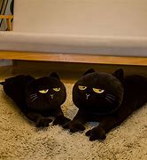 Image result for Cute Black Cat Plush