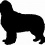 Image result for Newfoundland Dog Artwork