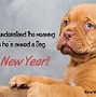 Image result for Happy New Year Puppy Image