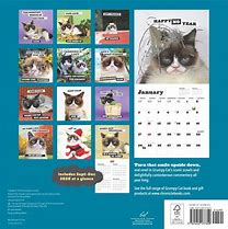 Image result for Grumpy Cat Calendar 2023