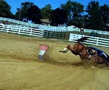 Image result for Heavy Horse Racing Falls