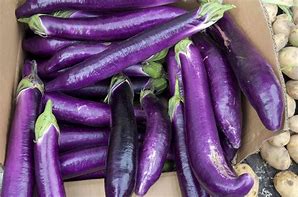 eggplants 的图像结果