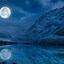 Image result for iPhone XR Wallpaper Nature Night