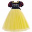 Image result for Princess Rapunzel Dress