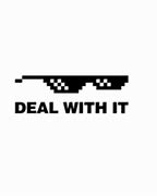 Image result for Deal with It