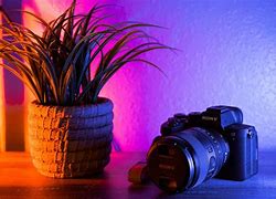 Image result for Sony A7iv Pics