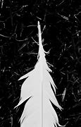 Image result for iPhone Black Feather Wallpaper