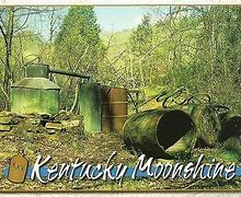 Image result for Moonshine Still in the Woods