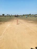 Image result for Cricket Pitch Front View