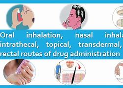 Image result for Gas Inhalation Route of Administration