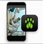 Image result for Blue with a Cat App