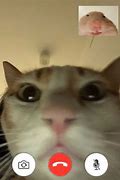 Image result for FaceTime Funny Faces