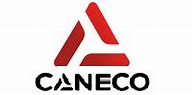 Image result for Caneco HT Logo