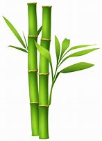 Image result for Bamboo Border Clip Art