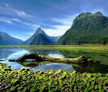 Image result for landscape