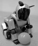 Image result for Aibo Ers 210 Front-Facing