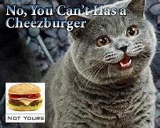 Image result for No You Cannot Has Cheezburger