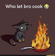 Image result for Who Let Bro Cook Cat Meme