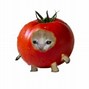 Image result for Fruit Cat PFP