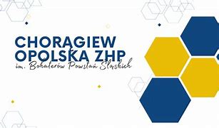 Image result for chorągiew_opolska_zhp