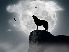 Image result for Anime Wolves Howling