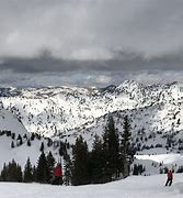 Image result for Alta Snow Depth