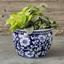 Image result for Decorative Indoor Plant Pots