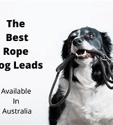 Image result for Rope Dog Meme