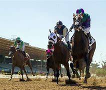 Image result for Horse Racing Santa Anita