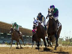 Image result for San Anita Horse Race
