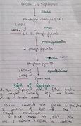 Image result for Glycolysis Structure