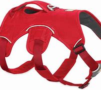 Image result for Front Clip Dog Harness