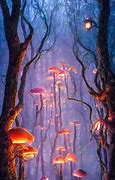 Image result for Mushroom Forest