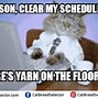 Image result for Office Cat Meme