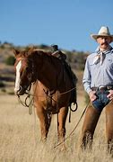 Image result for What Is a Cowboy