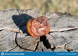 Image result for Rotten Apple Head