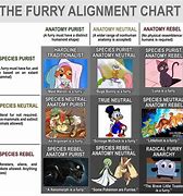 Image result for Furry Ideology