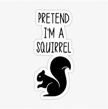 Image result for Squirrel Meme