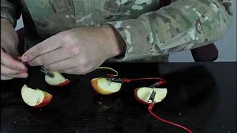 Image result for Battery From Apple Fruit