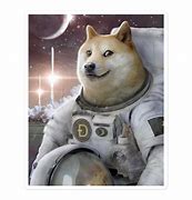 Image result for Space Doge Sticker