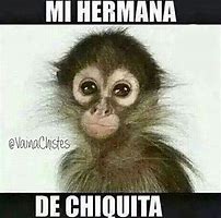 Image result for Chiquita Meme Pintrest