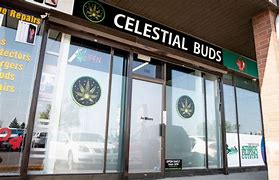 Image result for Celestial Buds Logo