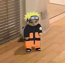 Image result for Funny Anime Meme Naruto Cat