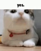 Image result for Cute Yes but Not Now