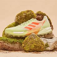 Image result for Adidas Trail Running Shoes