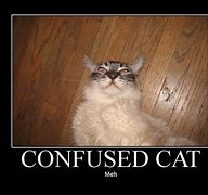 Image result for Funny Confused Face Meme